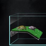 Turtle Basking Platform Manufacturer - High Quality Non-slip Simulated Turf Climbing Basking