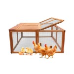 Chicken Coop Factory - Price List for Wooden Layer Quail Chicken Cages Extra Large