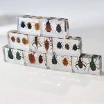 Insect Specimen Manufacturer - Beetle Scarab Ladybug Resin Teaching Tool Kids Desk