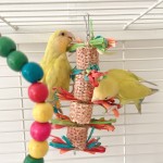 Bird Toy Supplier - Natural Wooden Nibbling Set Perching Supplies Chewing Beak Grinding