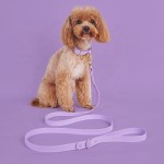 PVC Pet Supplies Manufacturer - Popular Dog Collar Leash Set Waterproof Easy Wash