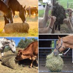 Horse Hay Bag Factory - Multi-specification Small Aperture Portable Net Slow Feeding