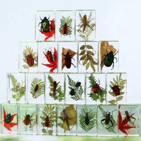 Educational Specimen Factory - Resin with Scorpion Beetle Plants Desktop Display