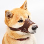 Dog Muzzle Manufacturer - Anti-barking Anti-biting Anti-eating Breathable Puppy Mask