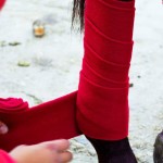 Horse Bandage Supplier - Equestrian Leg Soft Thick Fleece Set of 4 Pieces Gaiters