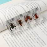 Resin Paperweight Manufacturer - 4.42.8cm Thin-Profile Real Bugs Encased Crystal