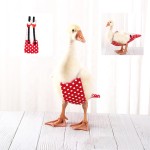 Pet Clothes Factory - Chicken Duck Clothes Diapers Adjustable Multi-color Comfortable