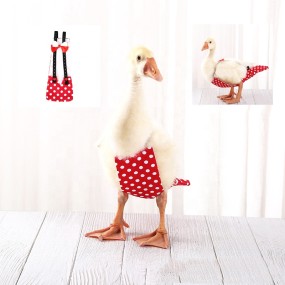 Pet Clothes Factory - Chicken Duck Clothes Diapers Adjustable Multi-color Comfortable