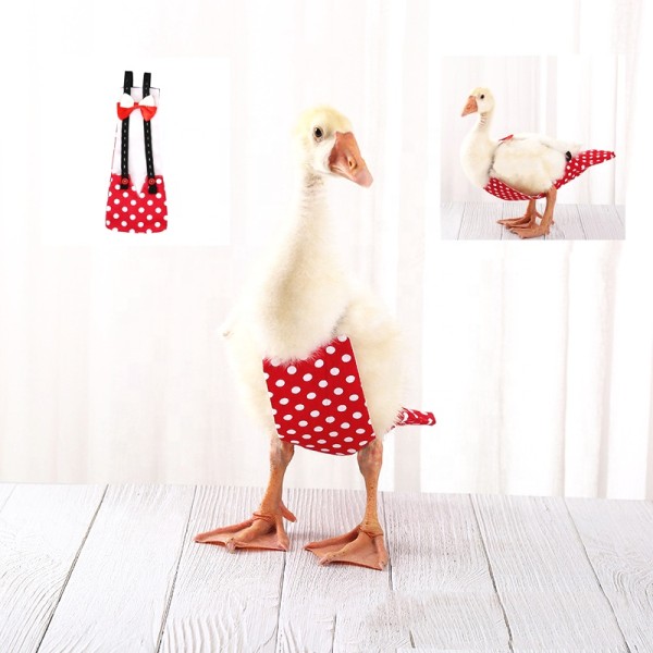 Pet Clothes Factory - Chicken Duck Clothes Diapers Adjustable Multi-color Comfortable