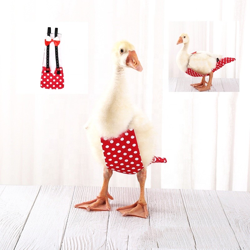 Pet Clothes Factory - Chicken Duck Clothes Diapers Adjustable Multi-color Comfortable
