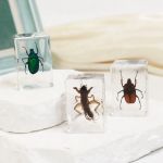 Crystal Resin Insect Supplier - Handmade 4.3x2.8cm Clear Amber Specimen Home Decor