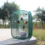 Insect Net Cage Supplier - Green Durable Ventilated Plant Pest Protection Seedling