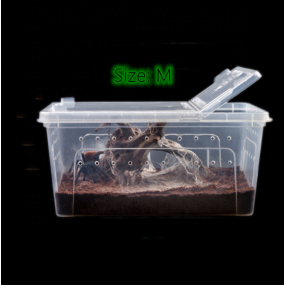 Medium Reptile Box Factory - 27x19x12cm Spider Rearing Snake Scorpion Silkworm Baby