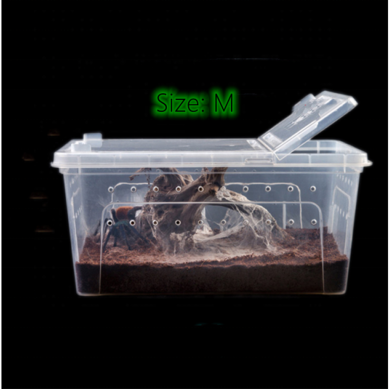 Medium Reptile Box Factory - 27x19x12cm Spider Rearing Snake Scorpion Silkworm Baby