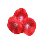 Underwater Landscape Supplier - Micro-landscape Simulation Resin Coral for Aquatic Scenery