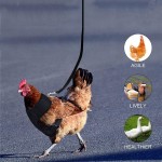 Pet Leash Factory - Chicken Duck Leash Comfortable Breathable Adjustable Various Colors