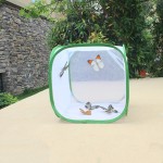 Butterfly Net Cage Factory - High-Quality Foldable for Plant Protection Light Transmission