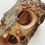 Wooden Gnawing Stick Manufacturer - Safe Eco-Friendly for Parrot Rabbit Molar Bird Guinea