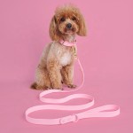 Pet Leash Collar Factory - Spot Dog Waterproof PVC Metal Buckle Dispenser Set Small Medium