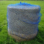 Hay Net Manufacturer - Round with 5cm Holes Large Cylindrical Slow Feeder Durable