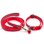 Reflective Leash Supplier - Dog Cloth Reflective Collar Set Adjustable Anti-lost for Walk