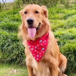 Pet Bib Supplier - Christmas Halloween Spot Printing Triangle Handkerchief Holiday