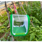 Mini Insect Box Supplier - 10x10x10cm Foldable Transparent for Children Education