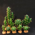 Succulent Plant Supplier - Potted Tabletop Decoration Reptile Box Artificial Green Plant