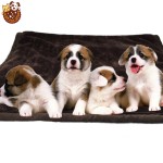 Pet Blanket Factory - Winter Warm Waterproof Double Sides Plush Throw Machine Washable