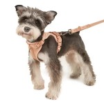 Dog Leash Set Supplier - PVC Upgraded Gold Buckle Adjustable Anti-bite Waterproof