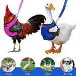 Pet Leash Factory - Chicken Duck Leash Comfortable Breathable Adjustable Various Colors