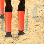 Horse Leg Cover Manufacturer - Leg Protection Anti-mosquito Cover Equestrian Supplies