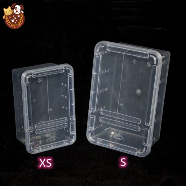 Small Reptile Box Supplier - 19x12.5x7.5cm for Spider Gecko Snake Scorpion Centipede