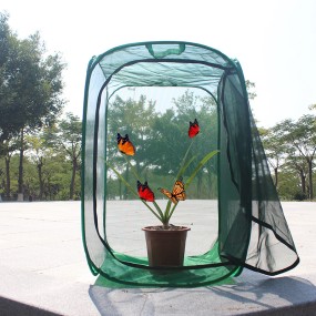 Insect Net Cage Supplier - Green Durable Ventilated Plant Pest Protection Seedling