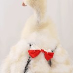 Pet Clothes Factory - Chicken Duck Clothes Diapers Adjustable Multi-color Comfortable
