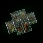 Educational Specimen Factory - Resin with Scorpion Beetle Plants Desktop Display