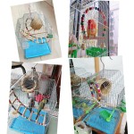 Bird Swing Factory - Colorful Swing Ladder Climbing Station Pole Cage Accessories