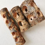 Wooden Gnawing Stick Manufacturer - Safe Eco-Friendly for Parrot Rabbit Molar Bird Guinea