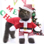 Dog Christmas Costume Supplier - Small Medium Large Dogs Pet Cats Party Decorations