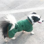 Dog Bathrobe Supplier - Super Absorbent Microfiber Fast Drying Pet Bath Towel