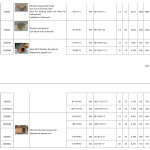 Dog House Price List Supplier - Outdoor Insulated Weatherproof Large Wood Kennel Cage