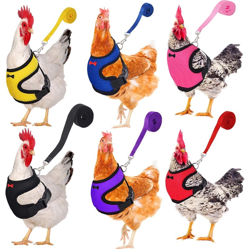 Pet Leash Factory - Chicken Duck Leash Comfortable Breathable Adjustable Various Colors