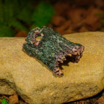 Resin Cave Decor Factory - New Artificial Tree Cave Aquarium Ornament Reptile Hideout