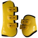 Horse Leg Guard Supplier - PU Hard Shell Diving Material Multiple Sizes Tightness Adjustment