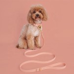 Pet Leash Collar Factory - Spot Dog Waterproof PVC Metal Buckle Dispenser Set Small Medium