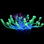 Aquarium Decor Factory - Software Silicone Coral Water Plant Colorful Plastic Luminous