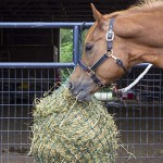 Horse Hay Bag Factory - Multi-specification Small Aperture Portable Net Slow Feeding