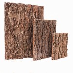 Cork Bark Supplier - Natural Virgin Champagne for Aquarium Reptile Box Decoration Habitat