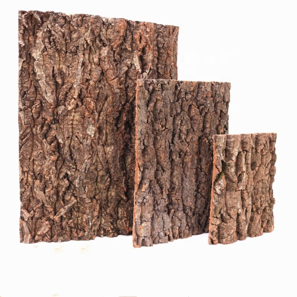 Cork Bark Supplier - Natural Virgin Champagne for Aquarium Reptile Box Decoration Habitat