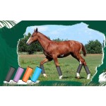 Horse Leg Cover Manufacturer - Leg Protection Anti-mosquito Cover Equestrian Supplies